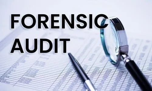 audit services