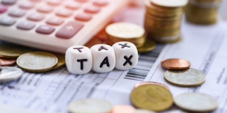 audit services